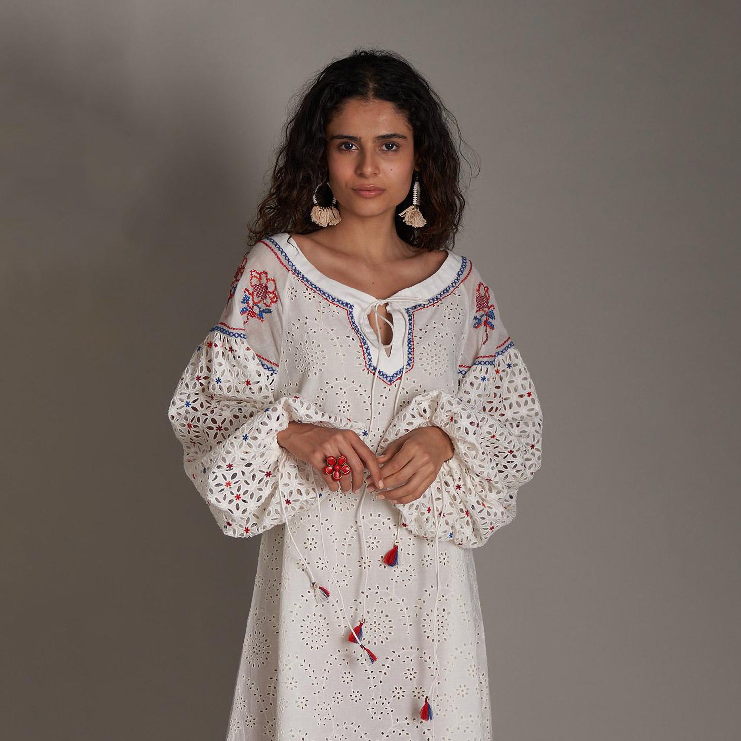 Ariella Embroidered Dress