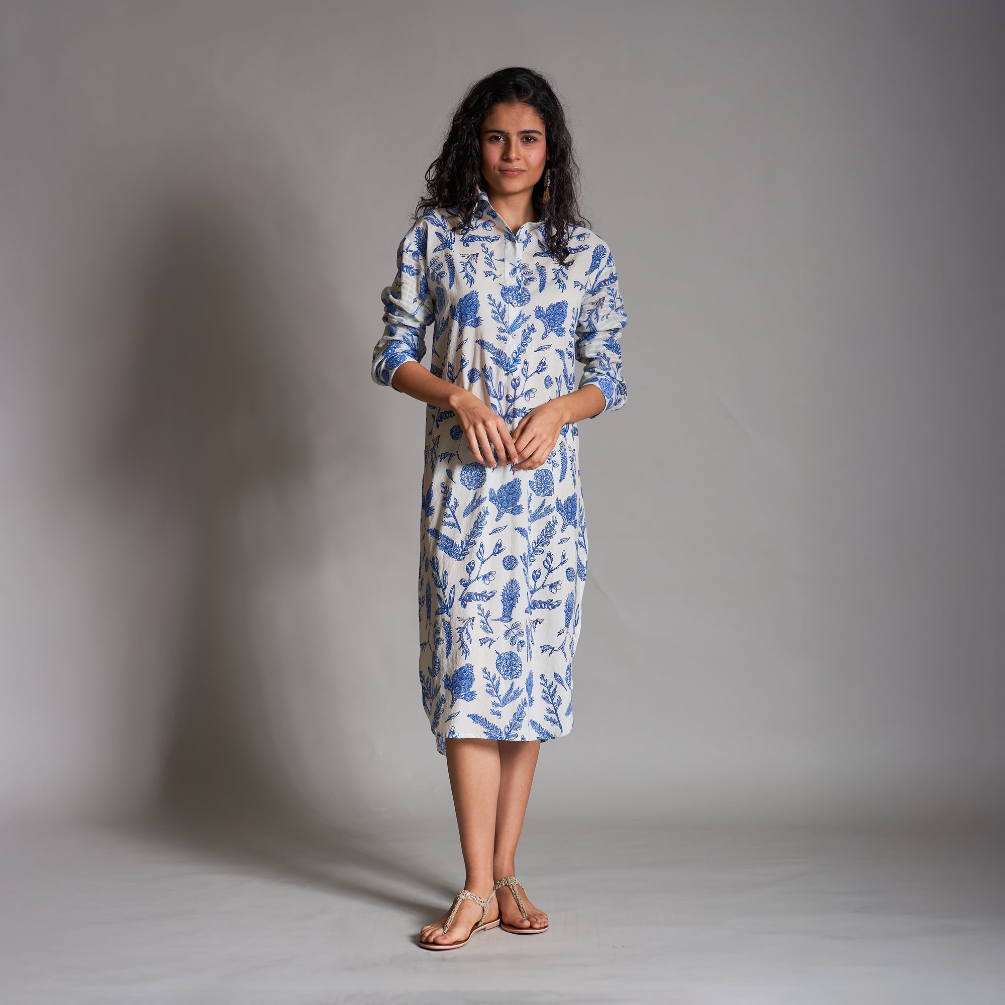 Misha Button Down Shirt Dress