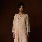 Kasturi Chikankari Pastel Patchwork Outfit