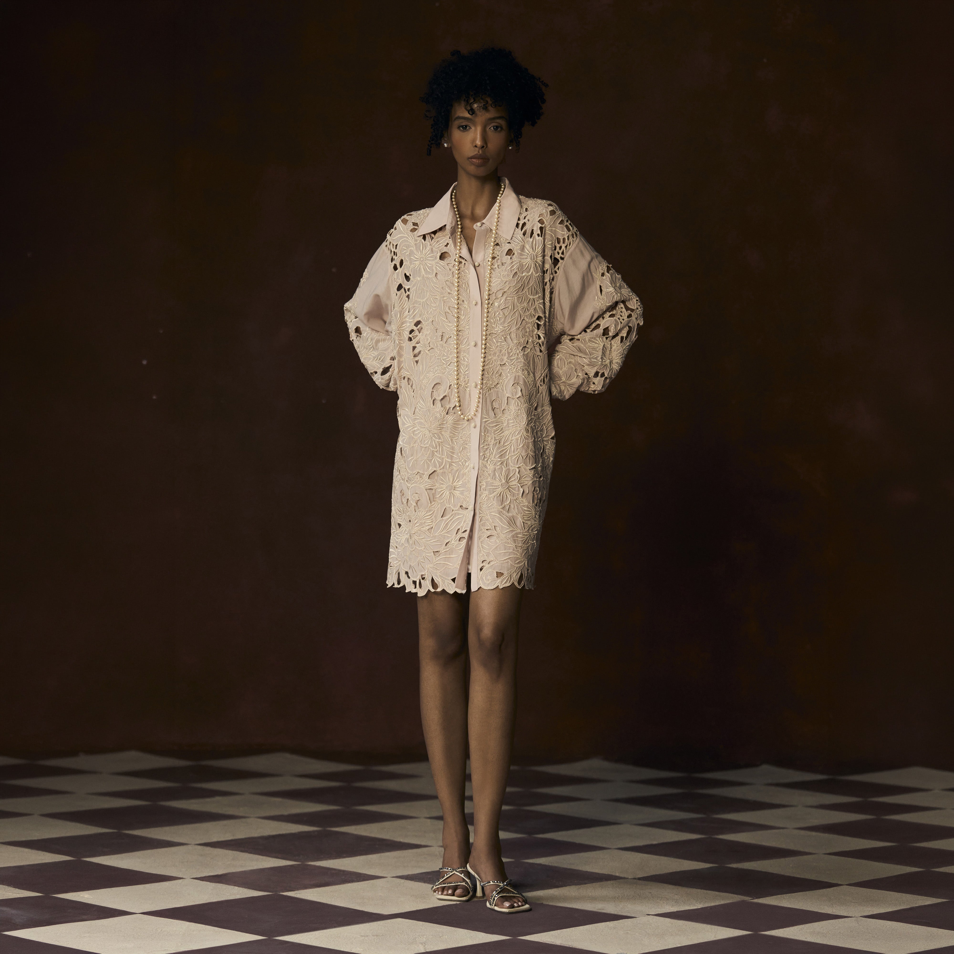 Embroidered Cutwork Shirt Dress