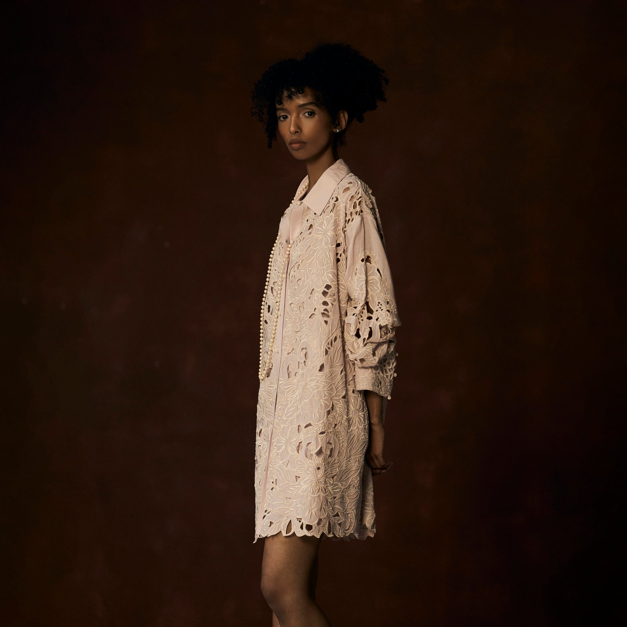 Embroidered Cutwork Shirt Dress