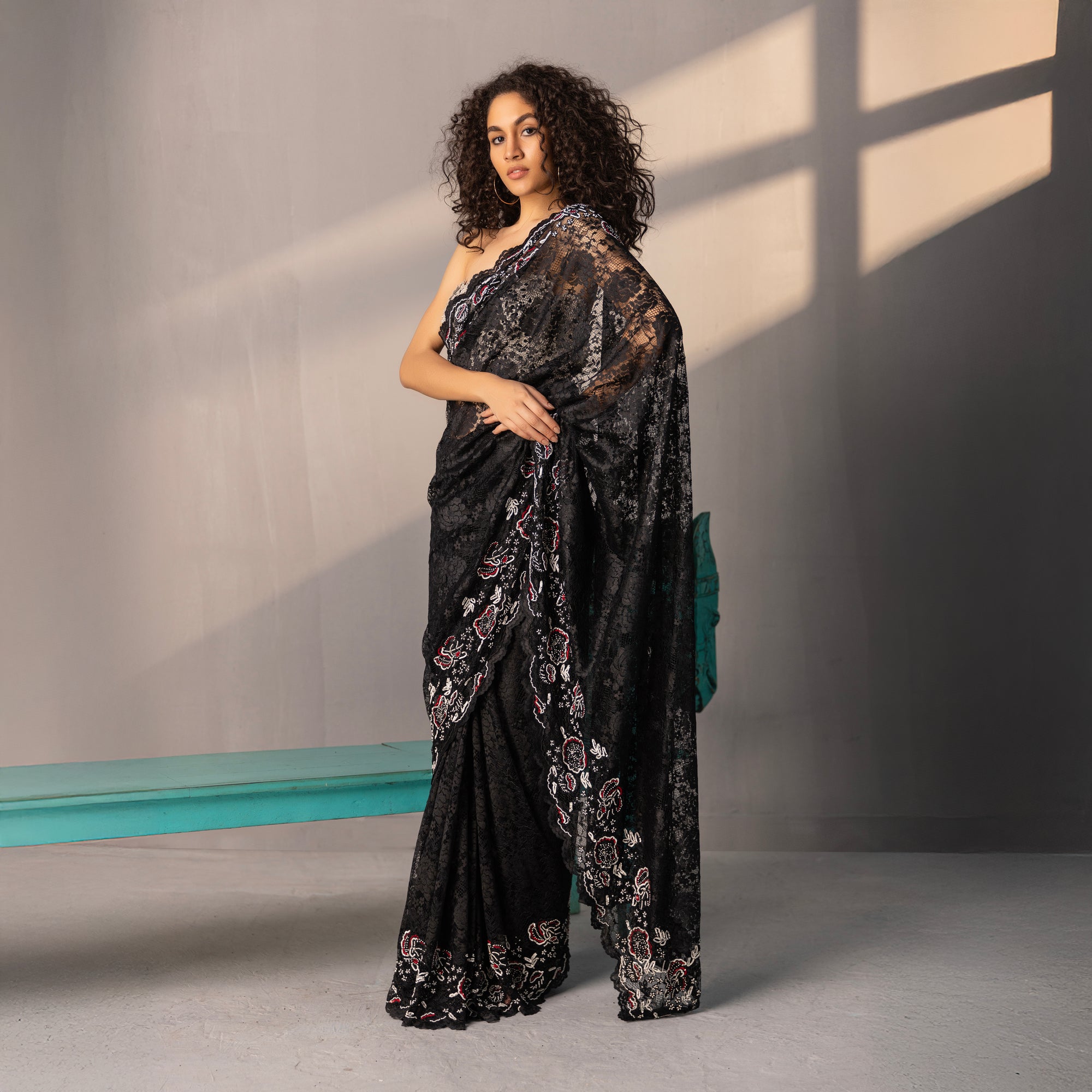 Damini Embroidered Saree