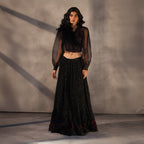 Midnight Tapestry – Black Chikankari Royal Skirt